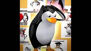 Meme Pinguin Bandar B*kep