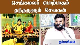 Nallasivam Speech | செங்கமலப் பொற்பாதம் தந்தருளும் சேவகன் | Iriz Vision