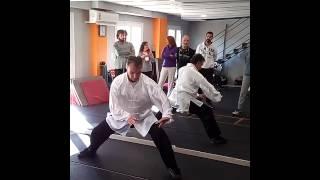 Tai Chi Chaun Self Defense demo by Master Bill Drougas