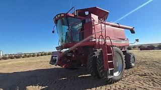 BigIron Auctions-Grafel Case 2377 Combine - December 2024