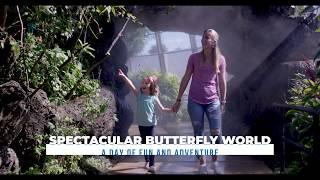 Explore Spectacular Butterfly World in Coconut Creek, Florida!