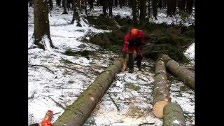 Measuring and marking of felled tree