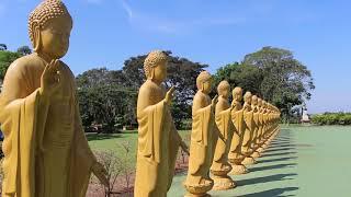 CONHEÇA O TEMPLO BUDISTA EM FOZ DO IGUAÇU COM A COMBO IGUASSU!