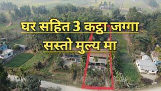 घर सहित 3 कट्ठा जग्गा सस्तो मुल्य मा | Belbari ghar jagga | Morang | Rajan rai | Real estate