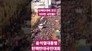 (국민혁명) 드디어 모였다 100만!! / 윤석열대통령 탄핵반대국민대회 / 드론촬영 (출처) 자유마을