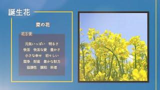 【今日は何の日？】2月6日まとめ、お風呂の日、海苔の日、日本初西洋式の結婚式挙行、パリ条約調印、「週刊新潮」創刊