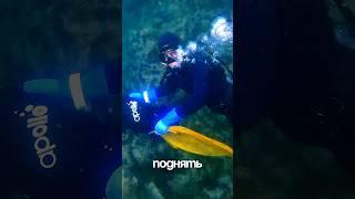 Сколько зарабатывает водолаз? #морепродукты #море #водолаз #приморье #владивосток #рыба