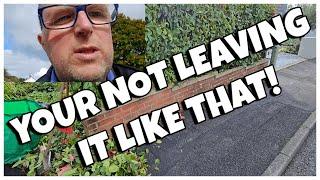 YOUR NOT LEAVING IT LIKE THAT? #gardeningbusiness #gardening #gardeningchannel #hedgetrimming