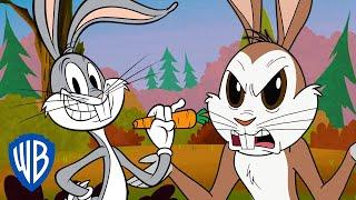 Looney Tunes | Is Bugs Bunny a Real Rabbit? | WB Kids