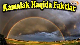 Kamalak haqida 7 ta hayratlanarli faktlar - Dunyoni Sirli kamalaklari kuchi haqidagi afsonalar !!!