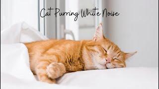 Sound of a cat purring, white noise, perfect for sleeping, relax, meditating for you and your cat(s)