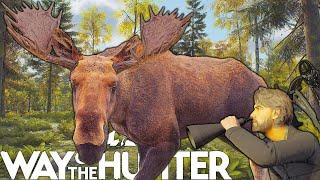 Five Star Eurasian Moose Bow Hunt | Way of the Hunter