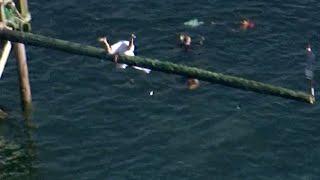 Watch: Bloopers from this year's Greasy Pole contest in Gloucester