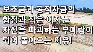 귀농 귀촌인! 보조금, 시설자금 이자가 1%만으로도 망할수 밖에 없는 현실적인 이유와 머슴으로 살아 갈수밖에 없는 이유