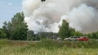 Пожар в лесу Борщевая Харьков 23.06.18