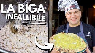 EASY BIGA Recipe for Neapolitan Pizza: PIZZAS LIKE CLOUDS READY in 2 HOURS @pizzaiolonapoletano5242