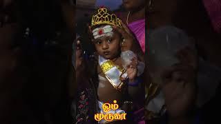 சின்ன முருகா | Malar tv