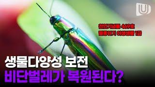 국내 최초 멸종위기종 곤충 보호센터 설립되나? 생물다양성 보전 체계 구축 위한 노력들은?