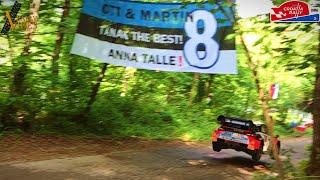 Shakedown WRC Croatia Rally 2024 | Jump & Flat Out Action | RALLY VIBES