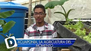 ACUAPONÍA, LA AGRICULTURA DEL MOMENTO