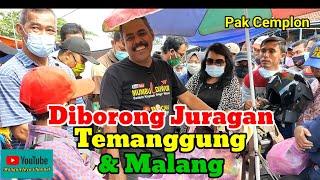 Diborong Juragan Temanggung & Malang