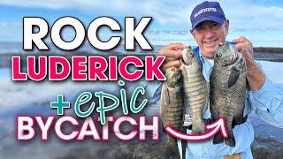 How You Catch Luderick for FREE: Rock Fishing in Winter =