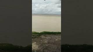 Enjoy The View Of River , Cloud and the Crow's Voice.... #padma #padmariver #rajshahi #clouds #cloud