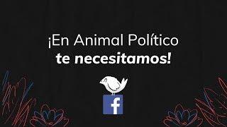 ¡Ayúdanos a seguir haciendo periodismo independiente! Colabora con Animal Político en Facebook