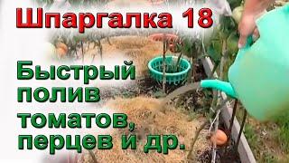 ШПАРГАЛКА 18 Полив томатов ЧУДО - ЯМЫ