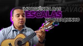 A IMPORTÂNCIA DAS ESCALAS NO CAVAQUINHO