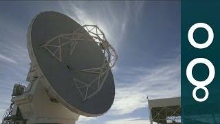 Telescope ALMA Looks at the Beginning of the Universe - Science