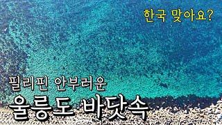 탈조선급 바다, 울릉도! 해외 부럽지 않다더니 진짜네~ 4k로 보세요!