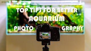 Top 5 Tips For Better Aquarium Photography