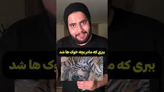 ببری که مادر بچه خوک ها شد  #shorts