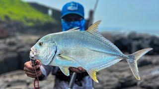 Catching huge Trevally from Rocky coast using Zman Shad / Goa fishing