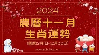 2024甲辰龍年｜農曆十一月（12/1-12/30）｜生肖運勢月報｜雨揚樂活家族