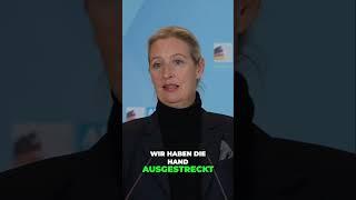 Wahlkampf 2024: Unsere Vision für Deutschland mit der AfD