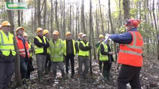 Forestry in Teagasc – what we do