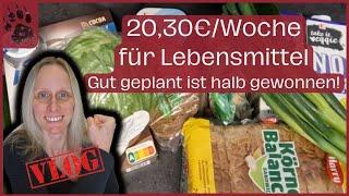 SPAREN extrem günstiger Wocheneinkauf 20,30€  Planung ist ALLES! #foodhaul #budgetplanung #vlog