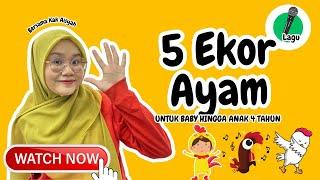 Lagu 5 Ekor Ayam | Belajar Mengira dengan KakAisyahABC