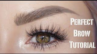 Perfect BROWS tutorial | Lolaliner