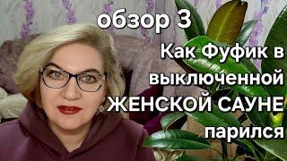 Как Фуфик в выключенной ЖЕНСКОЙ САУНЕ парился 