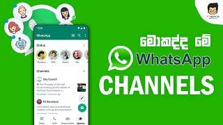 WhatsApp Channels |  The Biggest Update in 2023 Revealed!