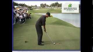 Tiger Woods 2000 Golf Swing Normal Speed & Frame-by-frame