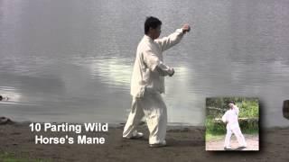 Grandmaster Yang Jun Performs 16-Movement Form