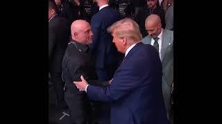 Donald Trump and Joe Rogan reunite! 🫡 #ufc309