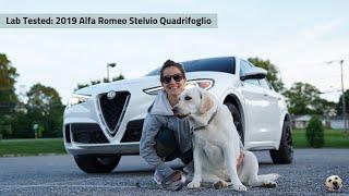 2019 Alfa Romeo Stelvio Quadrifoglio: Andie the Lab Review!