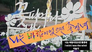 나는바람이었으면 좋겠네 I wish I was the wind  asmr 오늘의 힐링글 today's healing handwriting performance