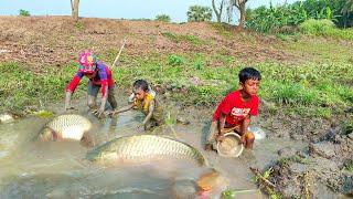 Amazing Fishing Video | Traditional Carp Fish Catching In Mud Water Pond | Fishing By Hand (Part-2)