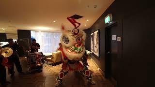 HK Lion Dancing | Vibe Hotel | Feb 2019 | AUS Jing Yee Lion Dance